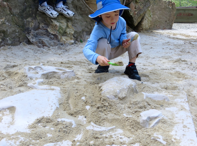 Review: Field Station: Dinosaurs - Fossil Dig Site