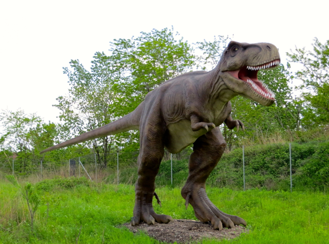 Review: Field Station: Dinosaurs - Tyrannosaurus Rex