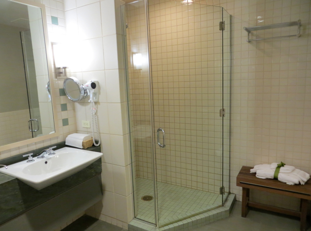 Review-American Admirals Lounge JFK - Shower