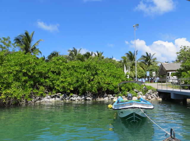 Park Hyatt Maldives Transfer