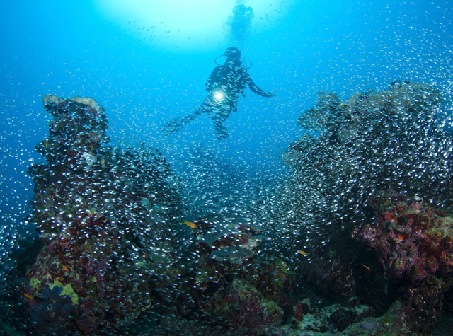 Park Hyatt Maldives Diving and Snorkeling