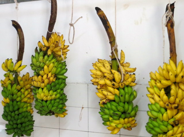 Park Hyatt Maldives Back of House Tour - Ripening Bananas