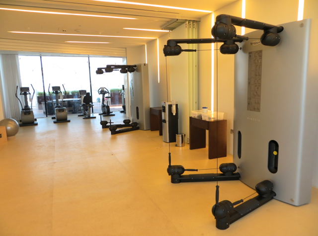 Yas Viceroy Abu Dhabi Hotel Review - Fitness Center Machines