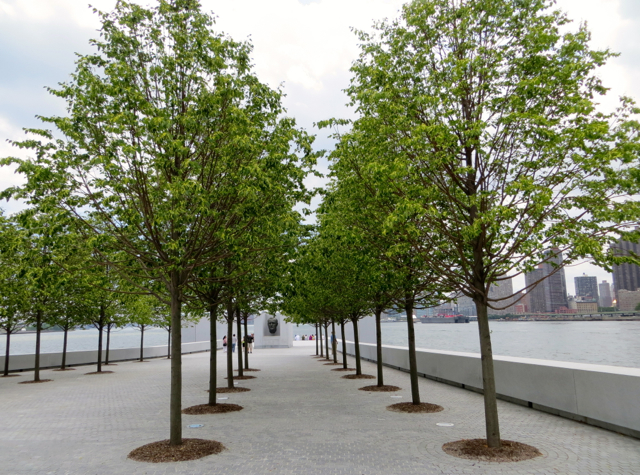 Roosevelt Island - Path to the Franklin D. Roosevelt Memorial, Four Freedoms Park