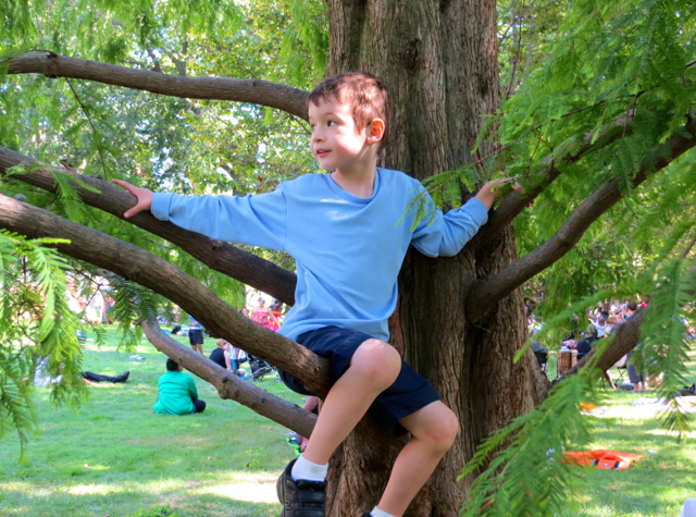 Governors Island - Climbing a Tree