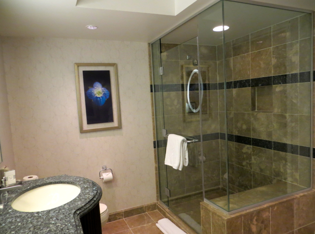 Bellagio Las Vegas Hotel Review - Walk-In Shower in Bathroom