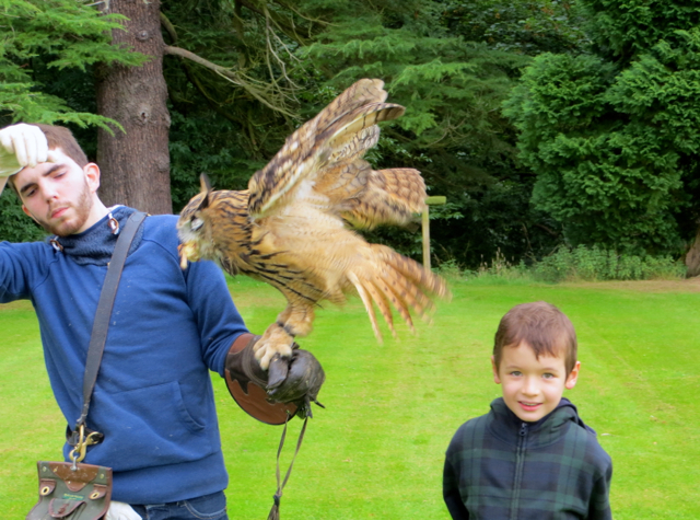 Dalhousie Castle Falconry Review - Feeding a Tawny Owl