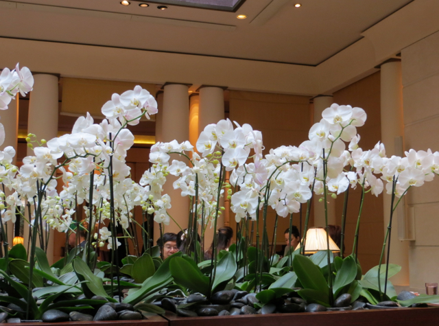 Park Hyatt Paris Breakfast Buffet Review - Orchids at Les Orchidees