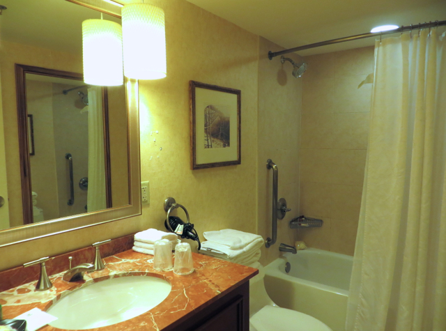 Sheraton at the Falls Niagara NY Hotel Review - Bathroom