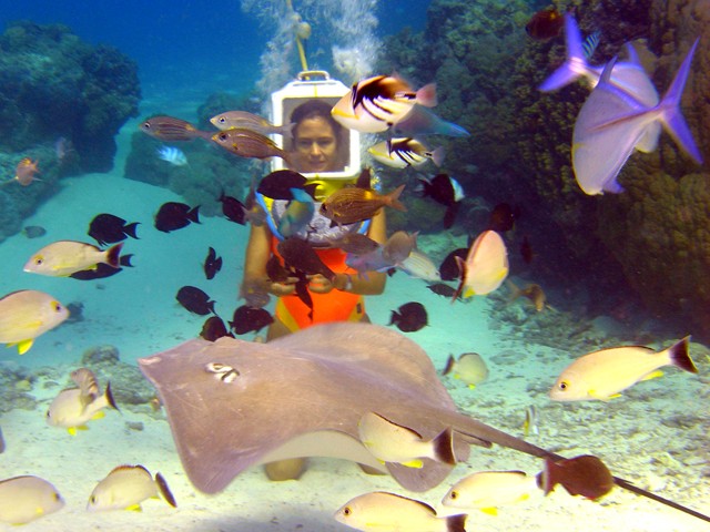 Bora Bora Things to Do - Helmet Dive