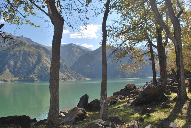 View of Tianchi from lakeside forest