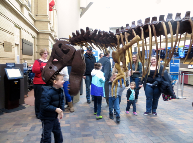 Top 7 Things to Do in Denver with Kids - T-Rex at Denver Museum of Nature and Science