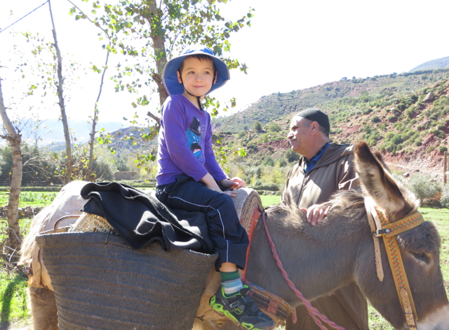 Atlas Mountains Berber Village Tour from Marrakech - Donkey Ride