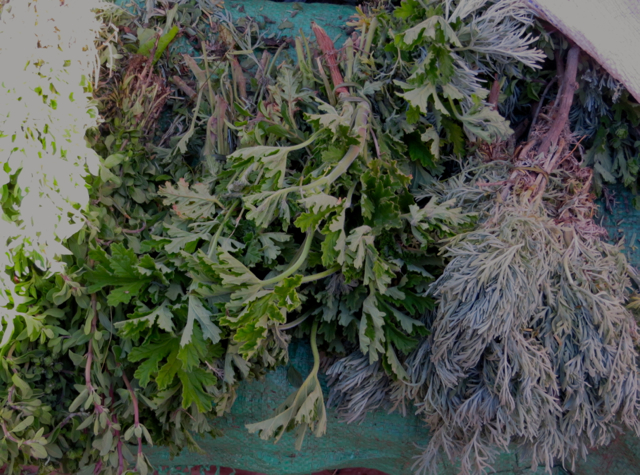 Atlas Mountains Berber Village Tour from Marrakech - Moroccan Mint and Herbs, Berber Market Souk