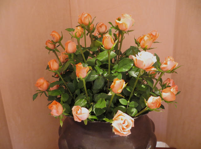 Amanjena Review Marrakech Morocco - Bouquet of Roses