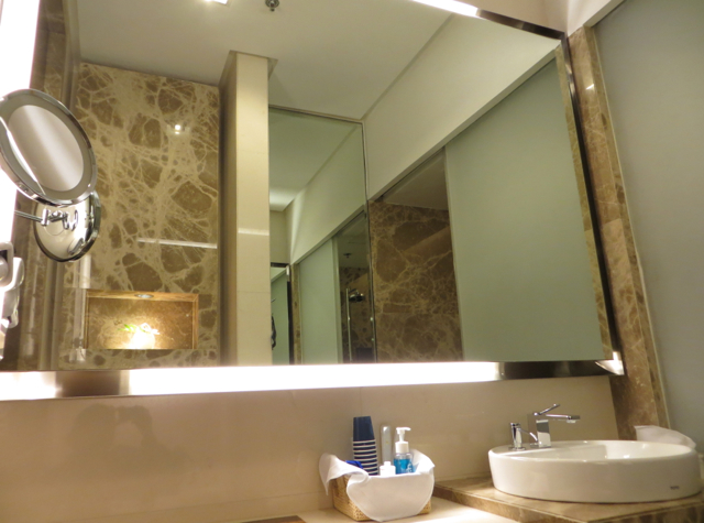 Singapore Airlines Private Room Lounge Review - Shower