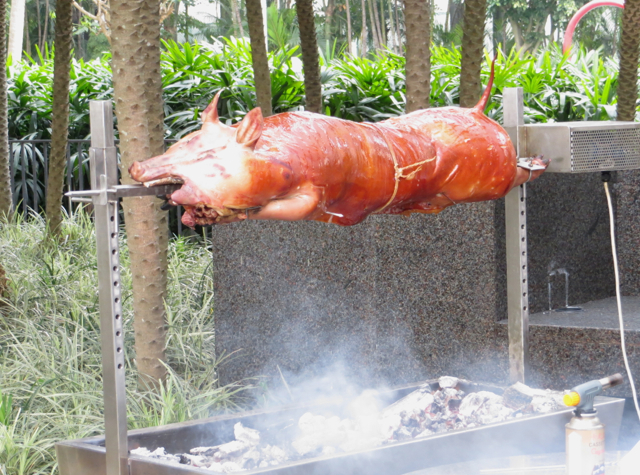 Review: Grand Hyatt Hong Kong Club Harbour View Room - Pig Roasting on Spit