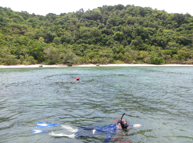 Koh Taen Snorkeling with Tours Koh Samui - Snorkeling