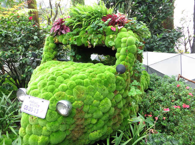 Gardens by the Bay Review Singapore - Cloud Forest Dome - Moss and Fern Covered Truck