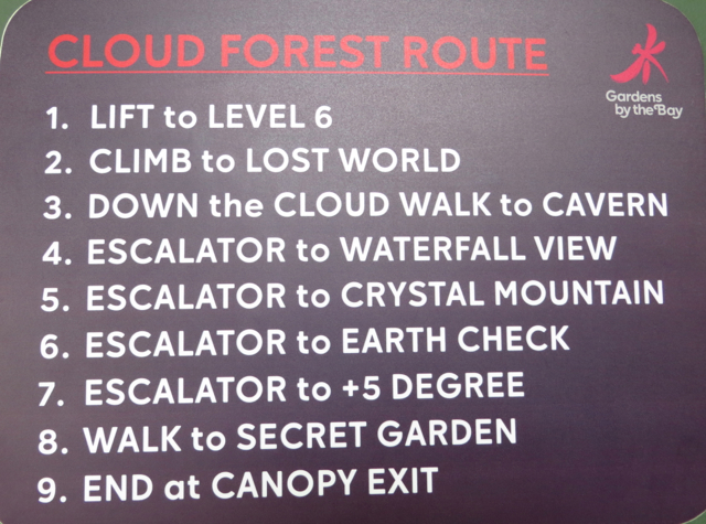 Singapore Gardens by the Bay Review - Cloud Forest Route