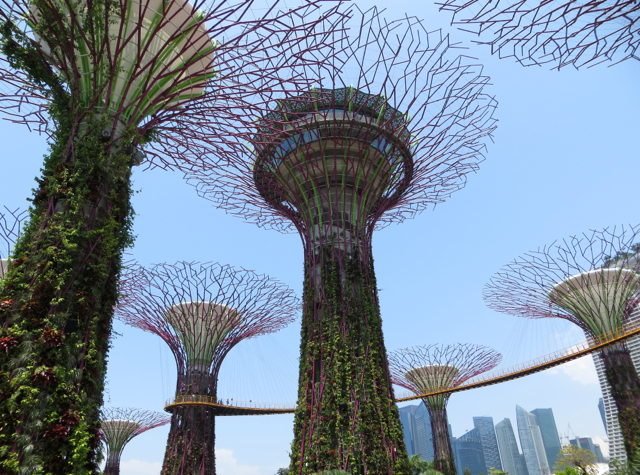 Gardens by the Bay Review - OCBC Skyway