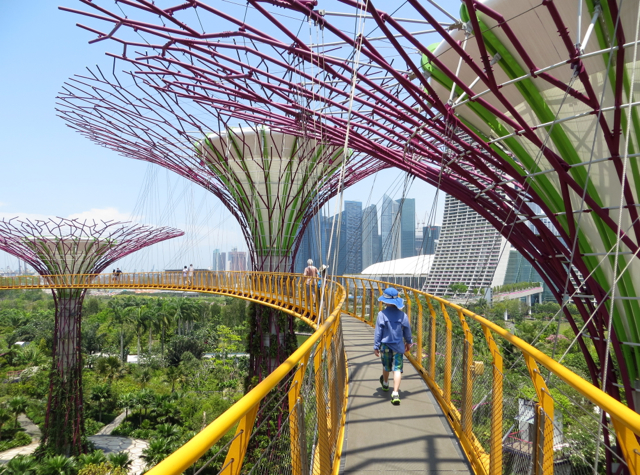 Singapore Gardens by the Bay Review - OCBC Skyway Bridge