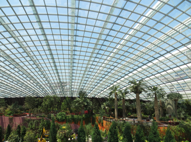 Singapore Gardens by the Bay Review - Flower Dome