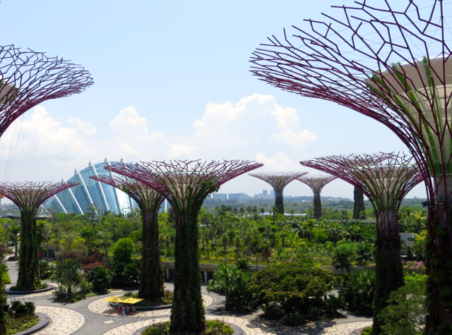 Singapore Gardens by the Bay Review