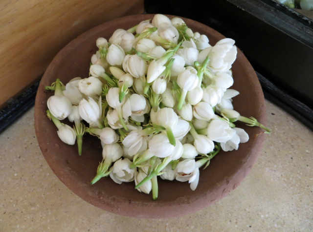 Amanjiwo Review, Borobudur - Fresh Jasmine Blossoms