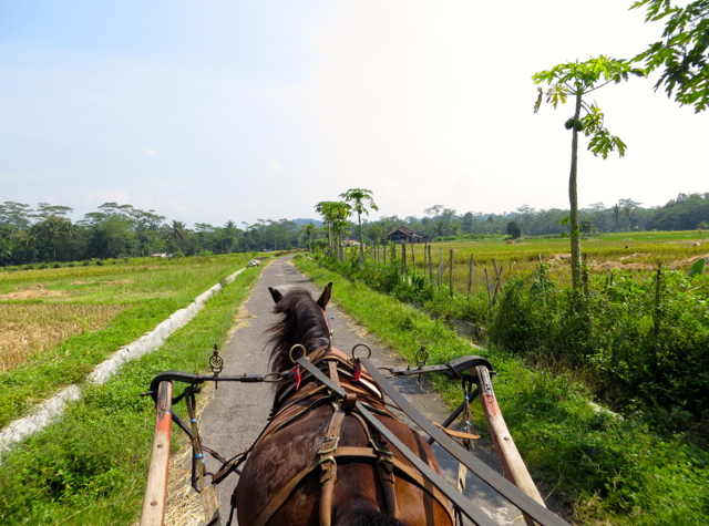 Andong Ride in Borobudur 