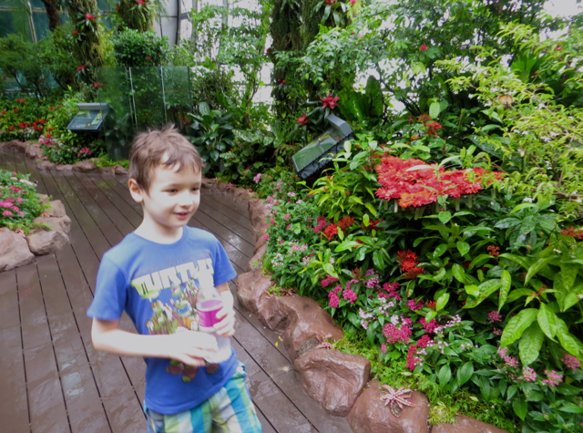 Enjoying the Butterfly Garden at T3, Singapore Airport