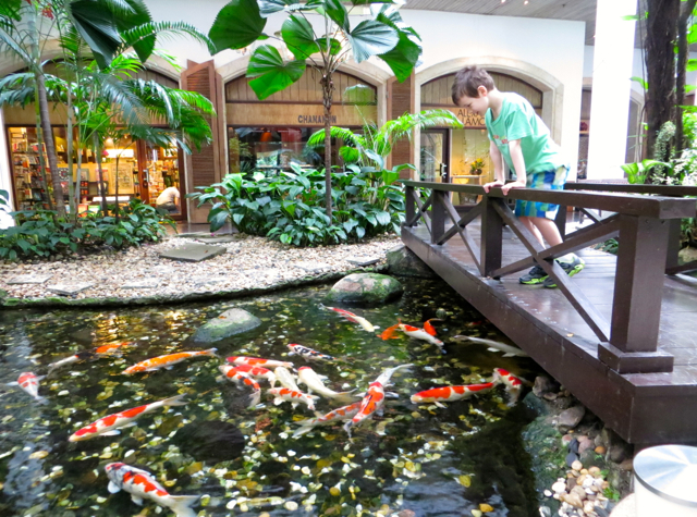 Four Seasons Bangkok Review - Beautiful Carp Pool