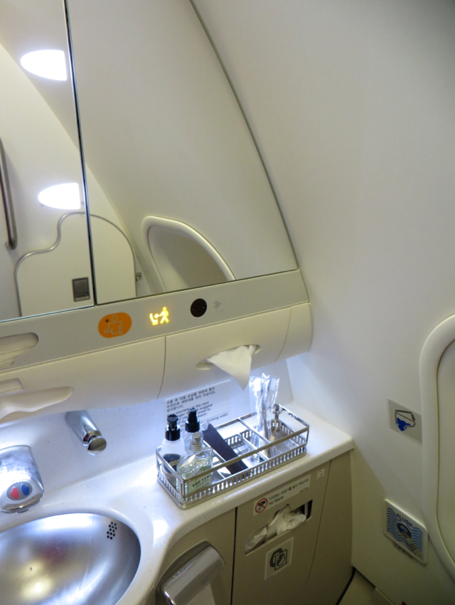 Asiana Business Class Review A330 - Bathroom