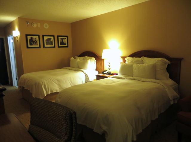 Newark Airport Hotel Marriott Review - Guest Room