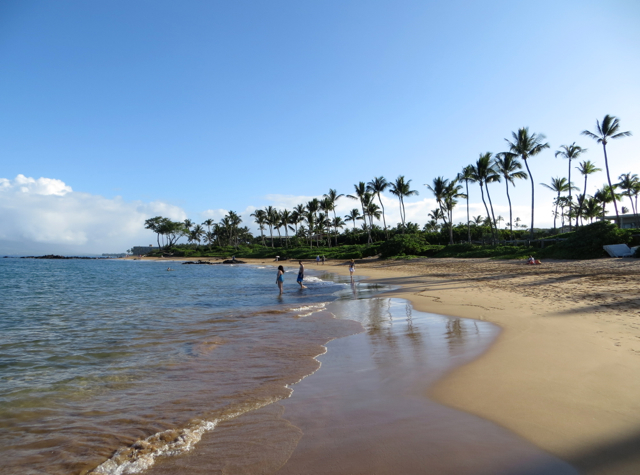 Andaz Maui at Wailea Review - Beach