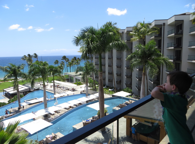 Andaz Maui at Wailea Review - View from Lobby