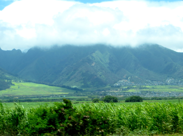 Views on the Drive to Mama's Fish House