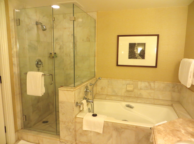 Four Seasons Maui at Wailea Review - Soaking Tub and Separate Glass Enclosed Shower 