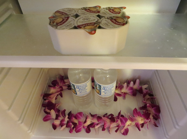 Four Seasons Maui at Wailea Review - Mini Bar Fridge