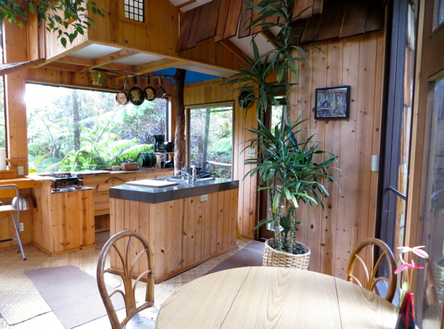 Hawaii Volcano Treehouse Review - Kitchen and Dining Table