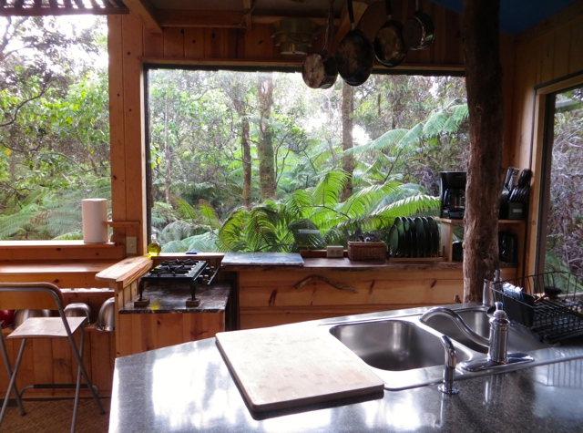 Hawaii Volcano Treehouse Review - Kitchen