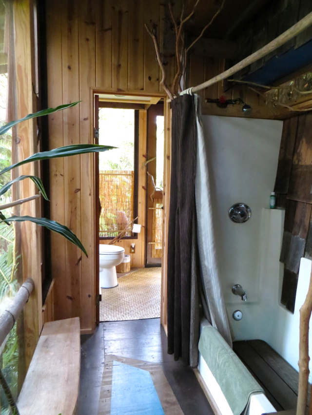 Hawaii Volcano Treehouse Review - Shower