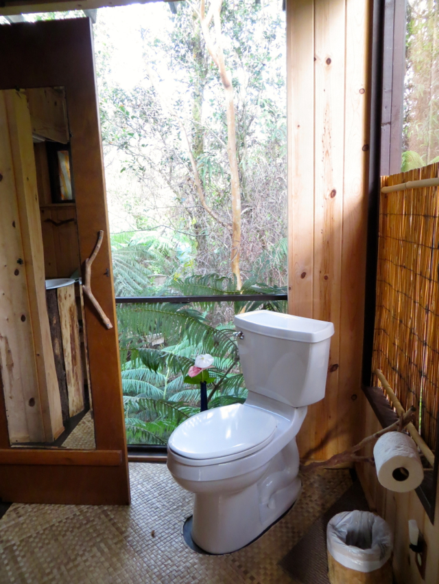 Hawaii Volcano Treehouse Review - Toilet