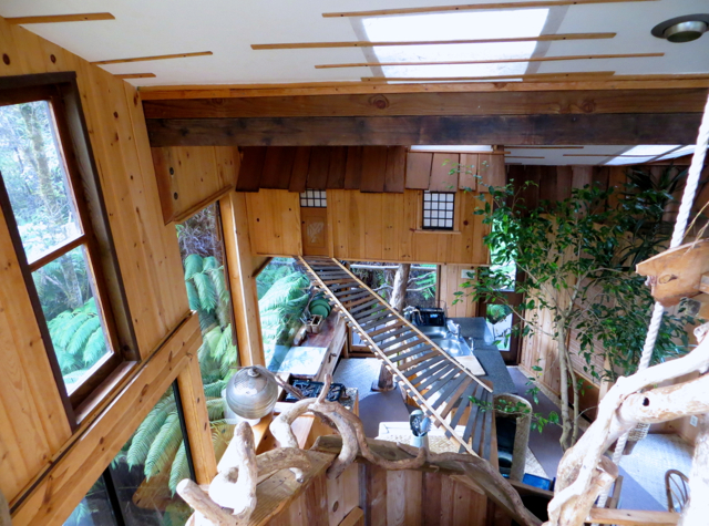 Hawaii Volcano Treehouse Review - View from 2nd Floor