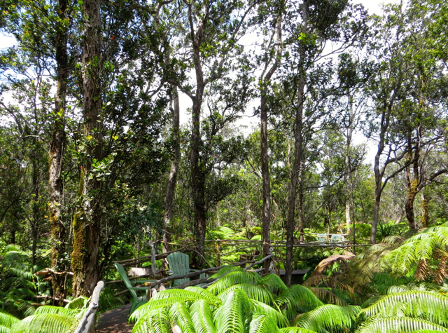 Hawaii Volcano Treehouse Review - View of Skywalk