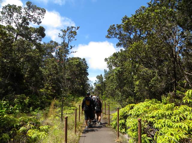 Hawaii Volcanoes National Park Review - Exploring the Summit Walk