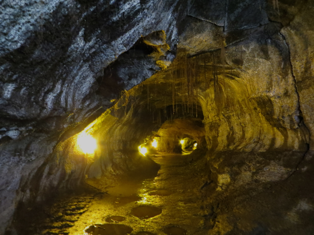 Hawaii Volcanoes National Park Review - Thurston Lava Tube