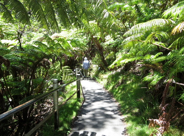 Hawaii Volcanoes National Park Review - Walk to Thurston Lava Tube