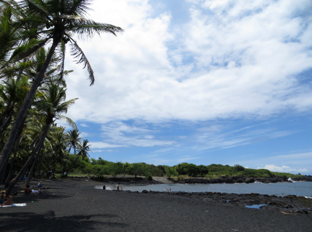 Punalu'u Black Sand Beach 