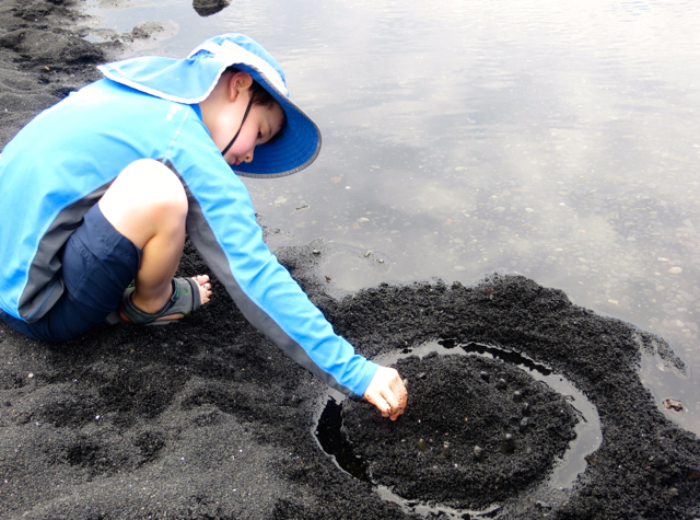 Building a Black Sand Castle, Punalu'u Beach